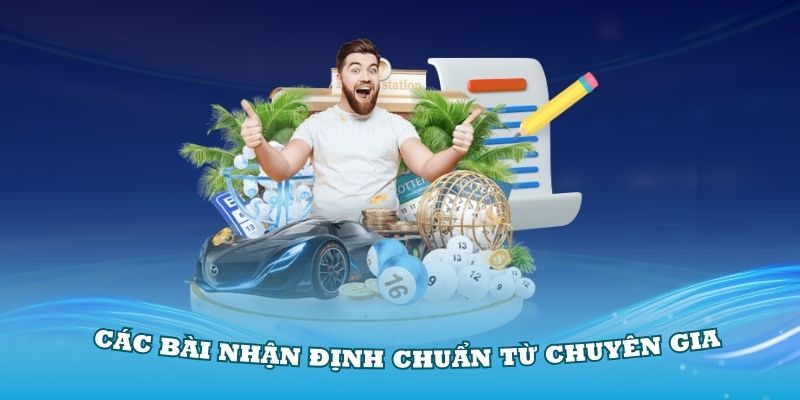 Các bài nhận định từ chuyên gia